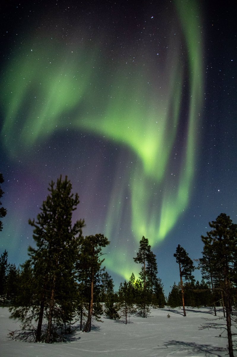hump999's tweet photo. Finland with Aurora Zone #AuroraZoneMoments @Aurora_Zone https://t.co/EpCZmAZdD8