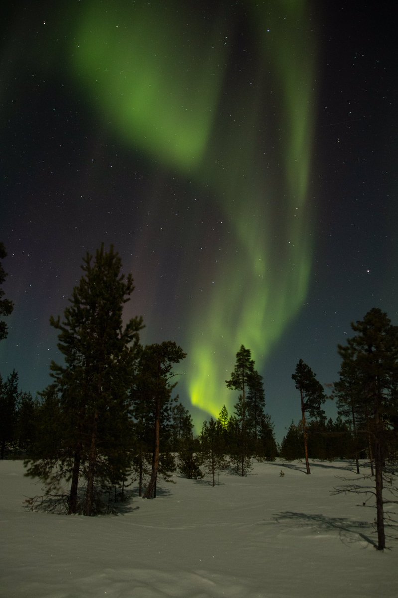 hump999's tweet photo. Finland with Aurora Zone #AuroraZoneMoments @Aurora_Zone https://t.co/EpCZmAZdD8