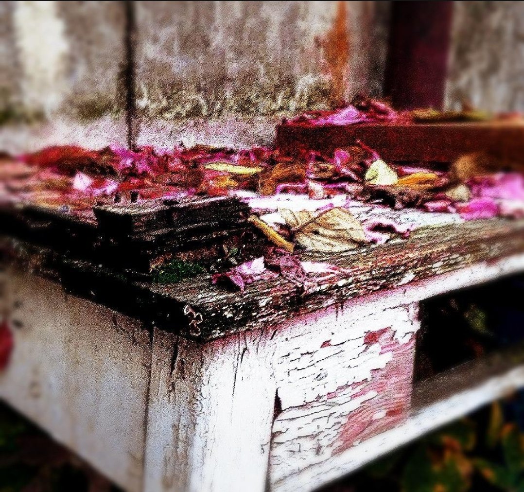moonlightstoryR's tweet photo. "In other words, time was a kind of palimpsest, traces of the past peeking through the present, only to be written over in the future again" #photography #photooftheday #photo #mine #Time #PhotographyIsArt #photographylovers #traceoftime https://t.co/LKt8vEdCXm