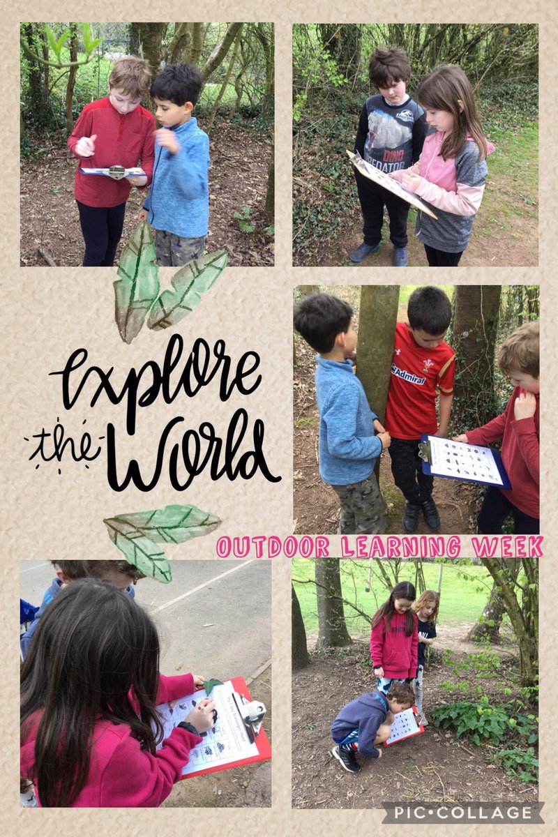 Blwyddyn 4 Cross Ash (@crossashy4) on Twitter photo Another busy day with some more outdoor learning before the rain arrived! We enjoyed our nature scavenger hunts in teams around our school environment - we discovered that some items were a lot easier to locate than others! <a href="/CrossAshHCI/">Cross Ash Primary Healthy Confident Individuals</a> #WalesOutdoorLearningWeek Another busy day with some more outdoor learning before the rain arrived! We enjoyed our nature scavenger hunts in teams around our school environment - we discovered that some items were a lot easier to locate than others! <a href="/CrossAshHCI/">Cross Ash Primary Healthy Confident Individuals</a> #WalesOutdoorLearningWeek