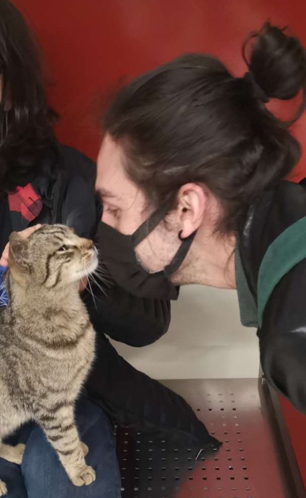 Taksim metrodaki kedy ile lovelandık