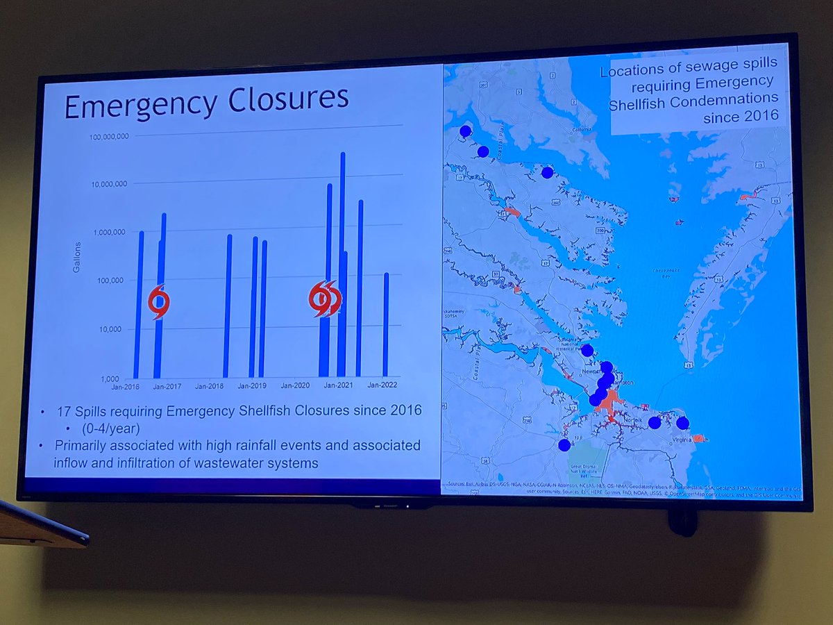 wetlandswatchVA's tweet photo. Shellfish closures (due to high pollutant levels) can happen during flood events. Flood waters bring pollutants from yards into waterways, while also flooding out septic systems. Closures are bad for VA’s shellfish economy. @VDHgov #environmentvirginia https://t.co/HiZDJkbWXm