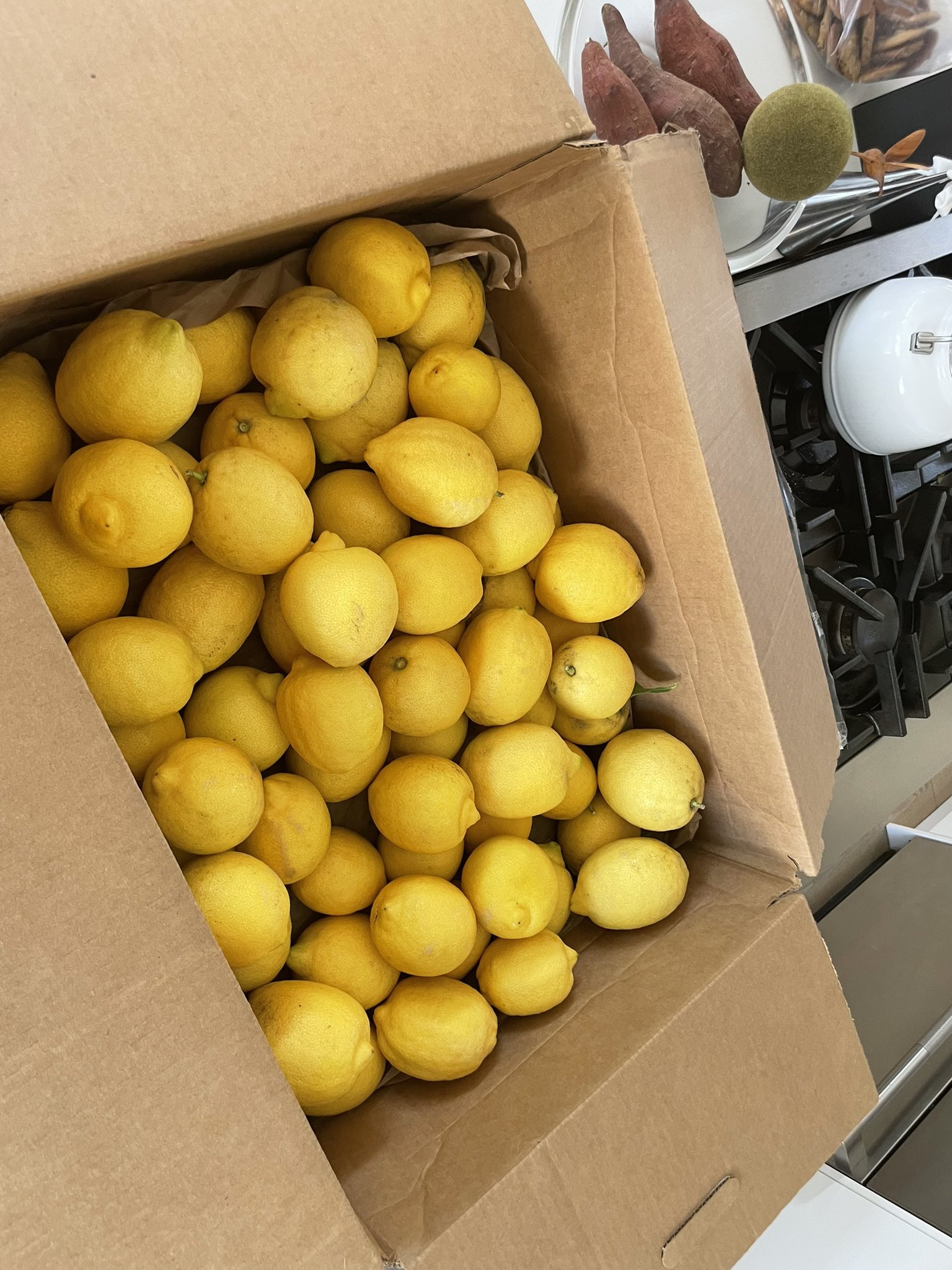 TW Pornstars Jared. Twitter. How much do organic lemons cost these