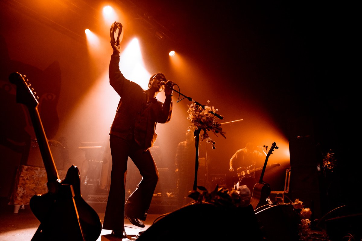 GIG GOER tweet media