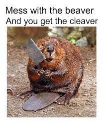 WSU Wildlife Ecology's March Mammal Madness! tweet media