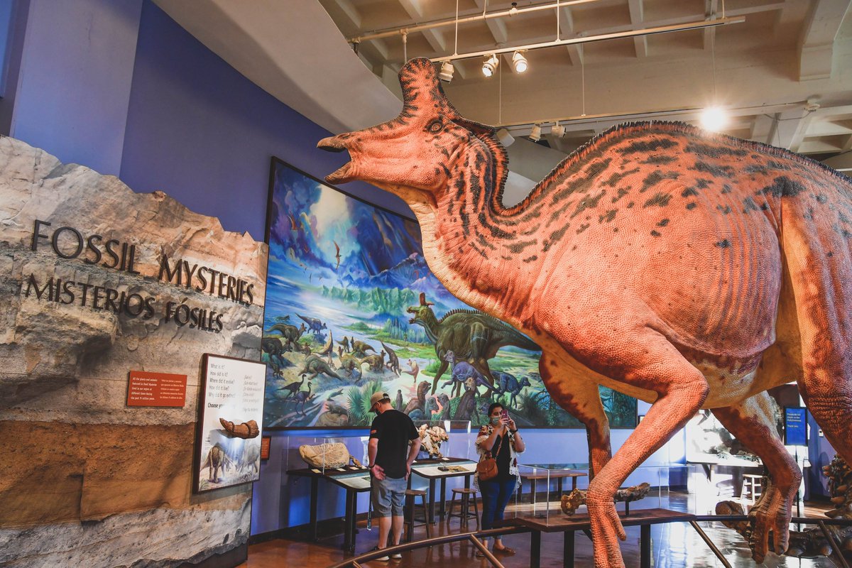 ExploreBP's tweet photo. @MOPASD, the @SanDiegoHistory, and @sdmodelrailroad Museums will be open Wednesdays and Thursdays during these dates:
Wednesdays through April 13
Thursdays through April 7
The @SDNHM is also open today, March 30 and March 31. For the latest schedule visit: https://t.co/GtwXyG1iLp https://t.co/7naLF9gpUv