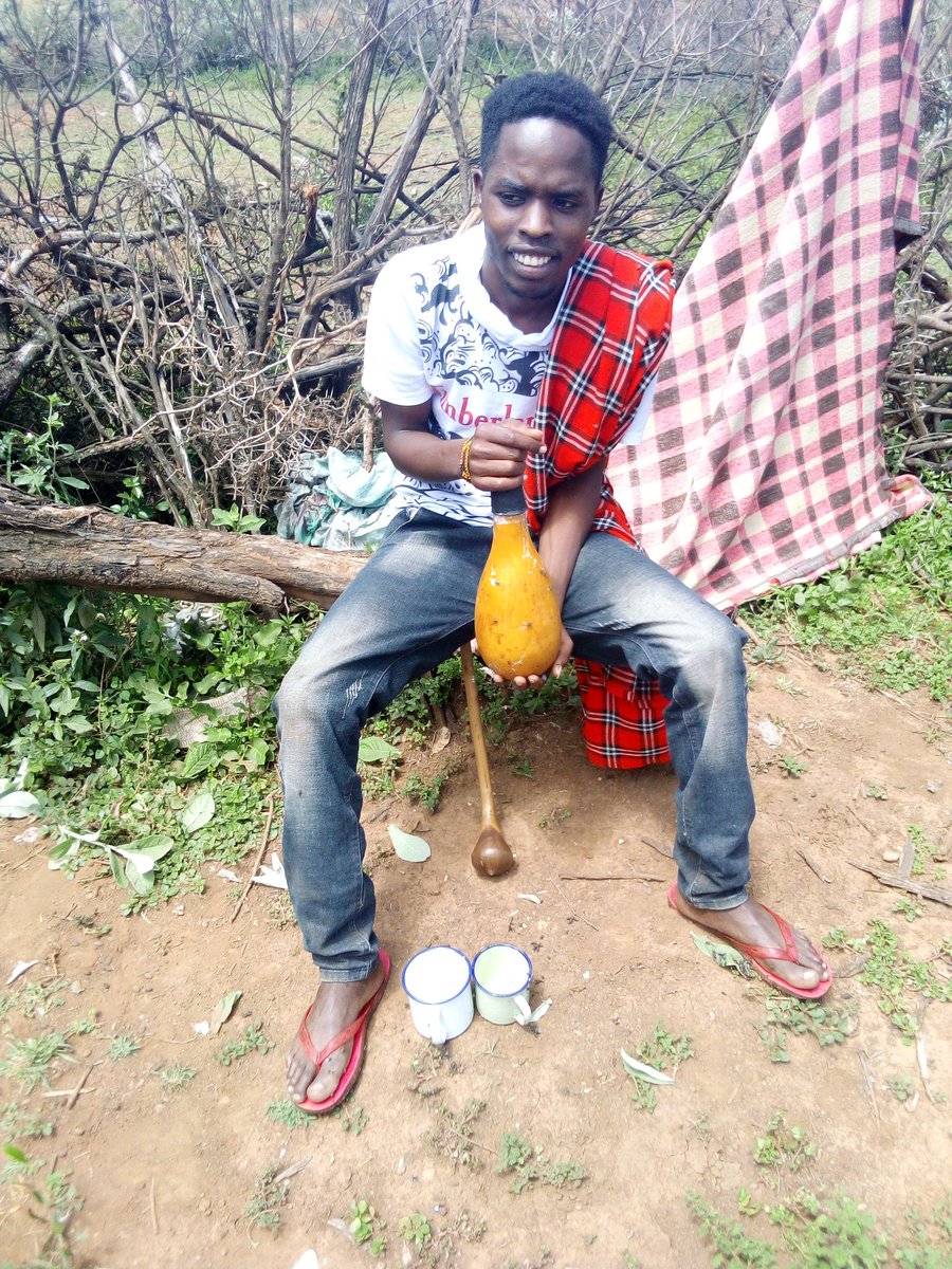 cenny001's tweet photo. Its what we use as food in our motherland, only milk and blood
Though blood as food is diminishing but we are still holding it up.
#themaacommunity https://t.co/uL301Pf3lx