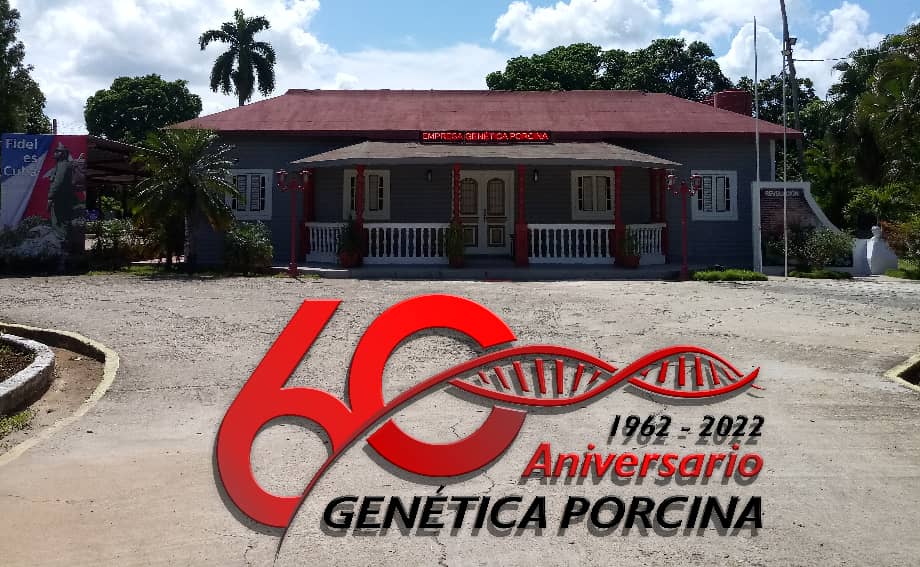 gensporcuba's tweet photo. RECIBE EMPRESA GENÉTICA PORCINA CONDICIÓN DE VANGUARDIA NACIONAL
Felicidades al colectivo de #genspor !Comprometido a honrar dicha condición,a mantener los resultados con calidad, eficacia y eficiencia constante, a asumir cada desafío y retos futuros, produciendo con excelencia. https://t.co/U2jFwOdZKx