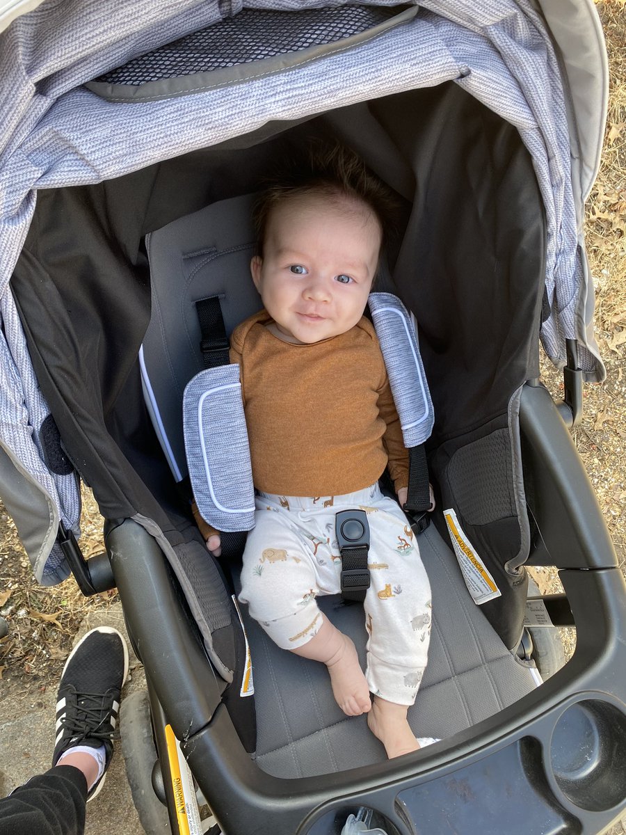 MaddieSillivan's tweet photo. my boy. 🥰 https://t.co/fCYncNR0zU