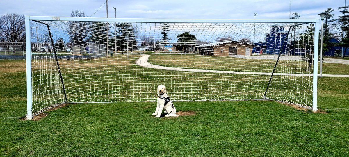 chs_ruby's tweet photo. Go ahead, try &amp; score a goal. I dare you! ⚽️🐶 https://t.co/PmM9TTsulh