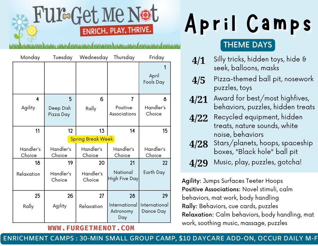 Check out our April enrichment camps @ daycare starting this Thursday - we're not April "fool"ing around 🤣🙃😉🐾 Enrich. Play. Thrive. 🐾#dailyenrichmentfordogs #enrichmentfordogs #enrichplay 
#puppylove #puppylife #puppysocialization #positivedogtraining #arlingtonva