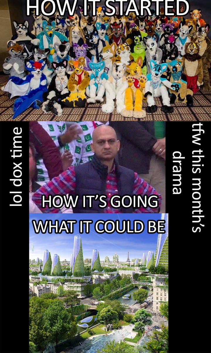 Imagine if furries put 1/10th the effort into helping their local community as they do trying to ruin the life of (insert whoever drew the short straw) each month.