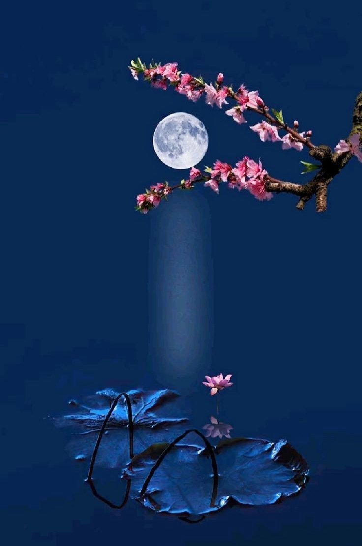 Buenas noches
Good night 💫💫