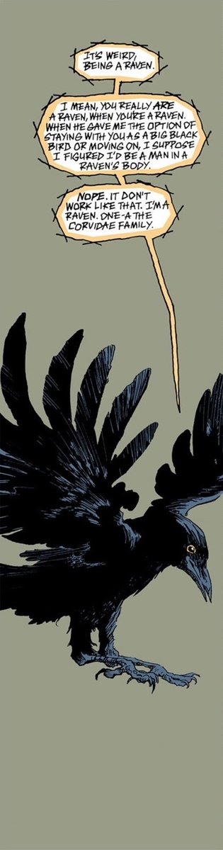 It's weird,
being 𝖆 𝖗𝖆𝖛𝖊𝖓.

I mean, you 𝘳𝘦𝘢𝘭𝘭𝘺 𝘢𝘳𝘦 𝘢 𝘳𝘢𝘷𝘦𝘯,
when you're 𝖆 𝖗𝖆𝖛𝖊𝖓.
When he gave me the option of staying with you as a big black bird or moving on, I suppose I figured I'd be a 𝘮𝘢𝘯 𝘪𝘯 𝘢 𝘳𝘢𝘷𝘦𝘯'𝘴 𝘣𝘰𝘥𝘺.