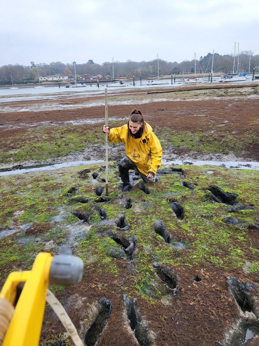 Charlie Mountain tweet media