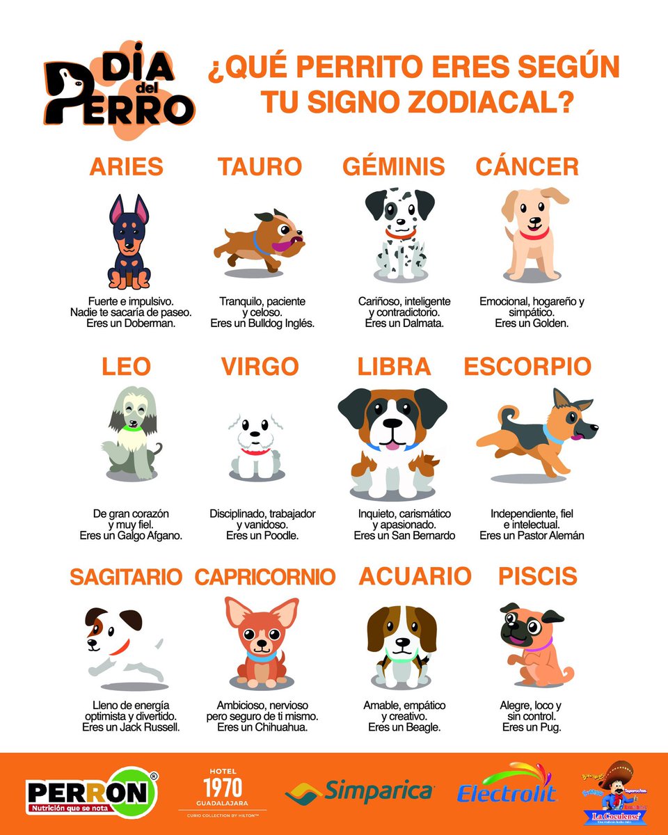 MAXIMA1067FM's tweet photo. ¿Qué perro eres según tu signo zodiacal? 🐶 #DíadelPerro
¡No olvides que este domingo 10 de abril el evento más perruno llega al Parque Italia, Providencia!
¡Habrá sorpresas, adopciones, actividades y mucho más! 🐾
@Electrolit @LaCoculense #simparica #Hotel1970GDL https://t.co/tE9zv34gvM