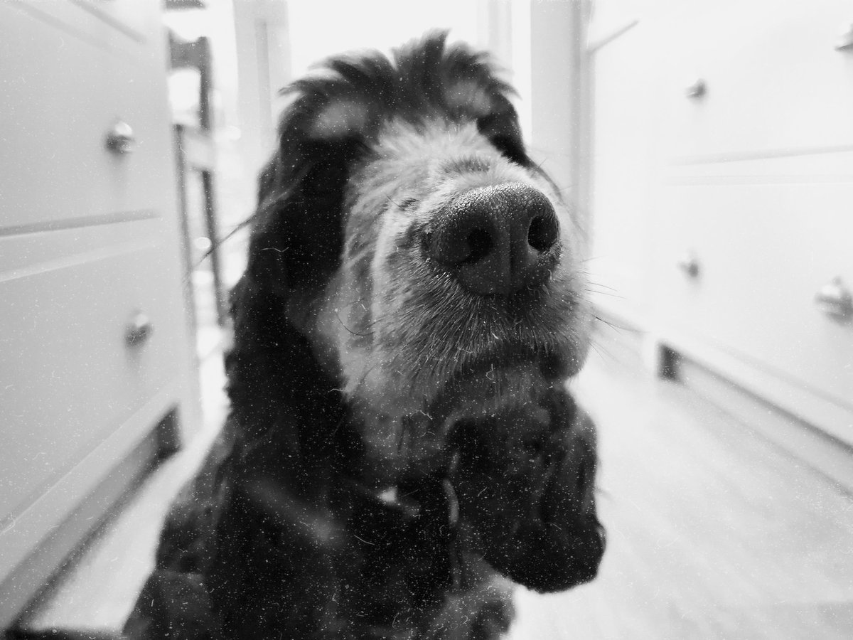 Idonthaveanicknameinreallife 🦅 (@benvickerstaff) on Twitter photo 