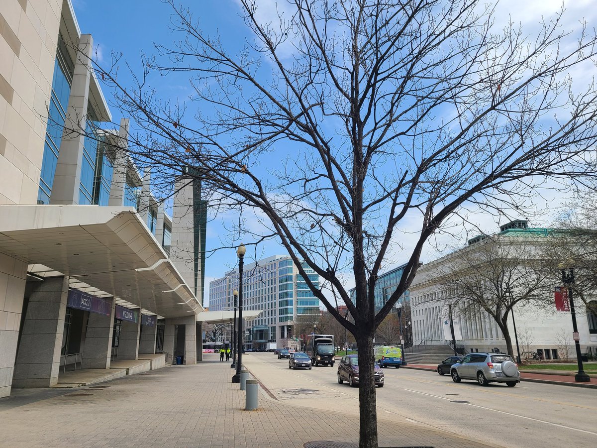 ChasinCaroline's tweet photo. Beautiful walk to the @TheEventsDC from the @RenHotels for @ACCinTouch show setup for the @CareAccessRes #booth533. #acc22 #clinicaltrials #clinicalresearch #CareAccess https://t.co/rdHJ7eDjIB