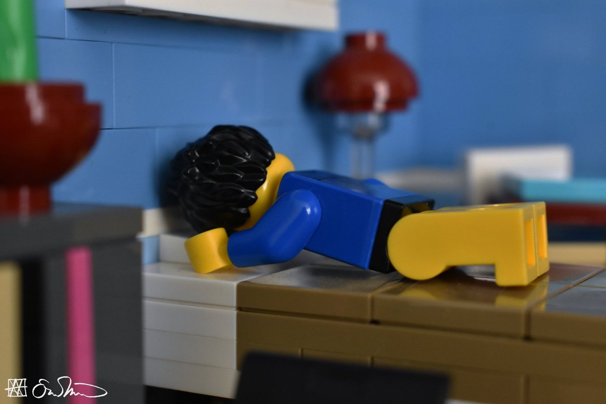 Lego Grad Student tweet media