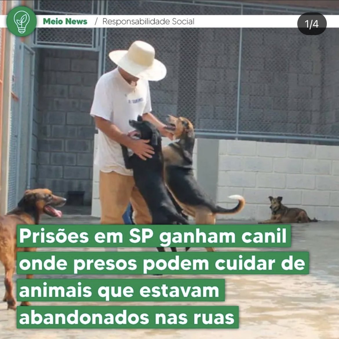 armandonader's tweet photo. fez minha tarde https://t.co/S4HgeXbYBy