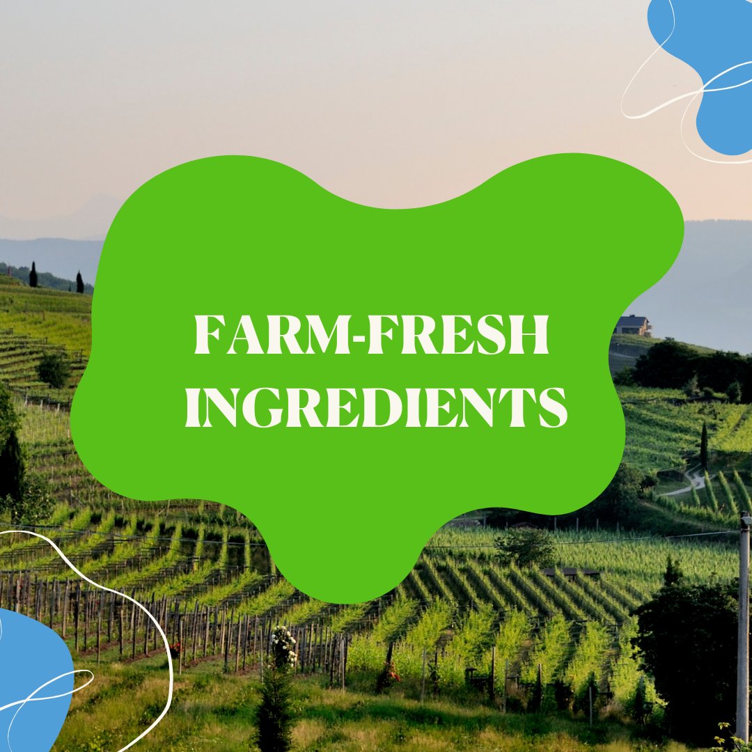 CleanBowlClub's tweet image. Your dog’s health comes down to what goes in their bowl which is why CBC is committed to farm-fresh ingredients!! #farmfresh
#certifiedhumane #farmlife #CleanBowlClubNYC #caninenutrition #healthypup #feedfresh #petnutrition #naturalpetfood 
cleanbowlclubnyc.com