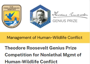 The <a href="/USFWS/">U.S. Fish and Wildlife Service</a> Theodore Roosevelt Genius #PrizeCompetition for Nonlethal Management of Human-Wildlife Conflict seeks solutions that address facilitating human-wildlife coexistence &amp; proactively deterring #HumanWildlifeConflict. Win up to $100K. Learn more at: go.usa.gov/xz7Hj