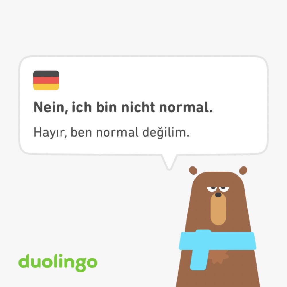 elifndemir's tweet photo. Duolingo'da karşıma çıkan cümleye bak ahbsbahdhshd.. https://t.co/7QwFNN8Uku
