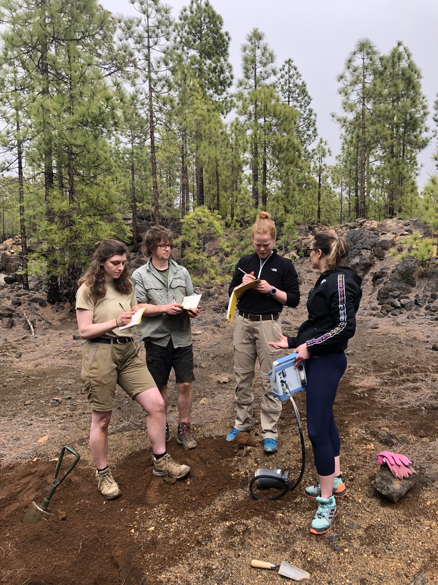 Doc_GBird's tweet photo. @BangorSNS #Tenerife 2022 fieldcourse 2022, Day 3. Afternoon: digging soil pits in the pine Corona Forestal…is it an #andisol? 🧐 Also @Dr_K_Marsden demo’ing monitoring soil respiration with the infrared gas analyser. @BUGeography @BUEnvironment @BU_Conservation @GeoTenerife https://t.co/64zLT3tE3N