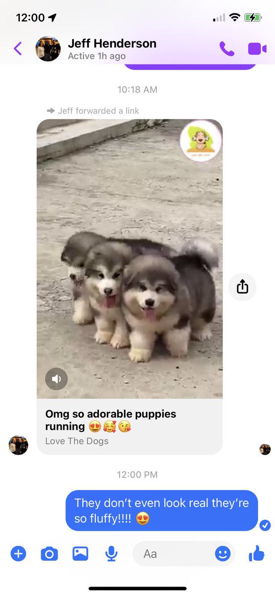 alyssahendyy's tweet photo. got a job as a case worker for kids who’ve been in some really horrible situations and ever since my dad has been sending me adorable videos to distract me from what I see every day 🥺 we don’t deserve dads 😭 https://t.co/18vpVW9RpJ