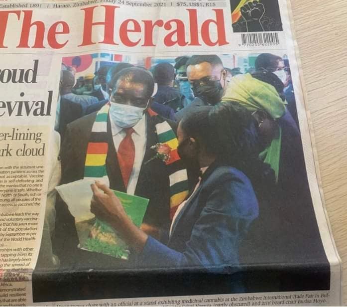 zwiht's tweet photo. Cannabis stole the show at the Zimbabwe International Trade Fair last year, with the Zimbabwe Industrial Hemp Trust going home with a silver award. 
We are expecting more this year, with President Uhuru Kenyatta doing official opening of ZITF 2022, 26-30. 
See you there! https://t.co/tQfVooCR2U