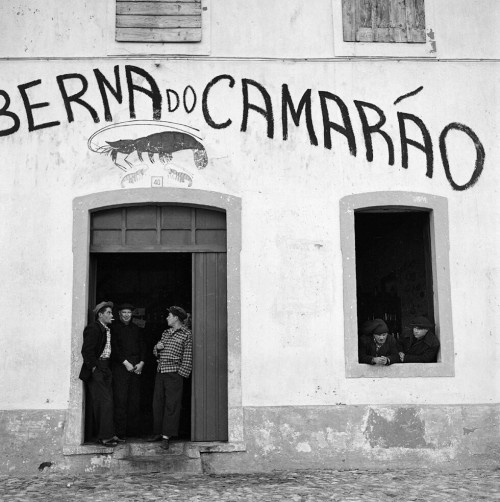 jatustein's tweet image. Bill Perlmutter
Waiting for the Weather to Clear, Portugal, 1956
#Portugal #BillPerlmutter #photography #50s
