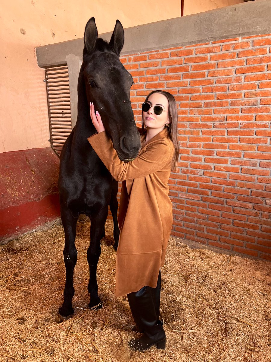 PepitaCorona's tweet photo. Iโm so proud of my Daughter Majo โฅ๏ธ๐sheโs learning to be kind & confident. Takes timeโฆ but horses can show us the right way of our paths. Too rebel souls can learn from each other ๐. #daughterlove #mydaughterloveshorses2 #spirithorses #Puebla #cuyoacopuebla ๐ฒ๐ฝโค๏ธโ๐ฅ https://t.co/aKowGLLtCO