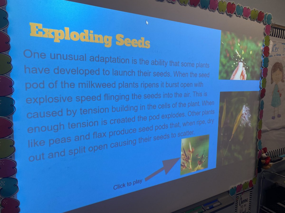 Amber Evans tweet media