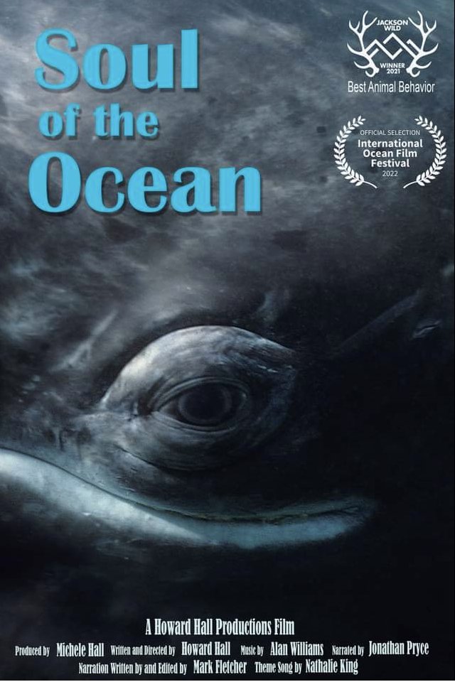OceanicSociety's tweet photo. Next Friday, 4/8, join fellow OS community members for a viewing of 'Soul of the Ocean' at the Intl. Ocean Film Festival ($) in San Rafael, CA! The film explores the complex relationship between biodiversity &amp; people, &amp; our role and impact on the oceans. https://t.co/dESOJDiB9N https://t.co/50MeEcXxwZ