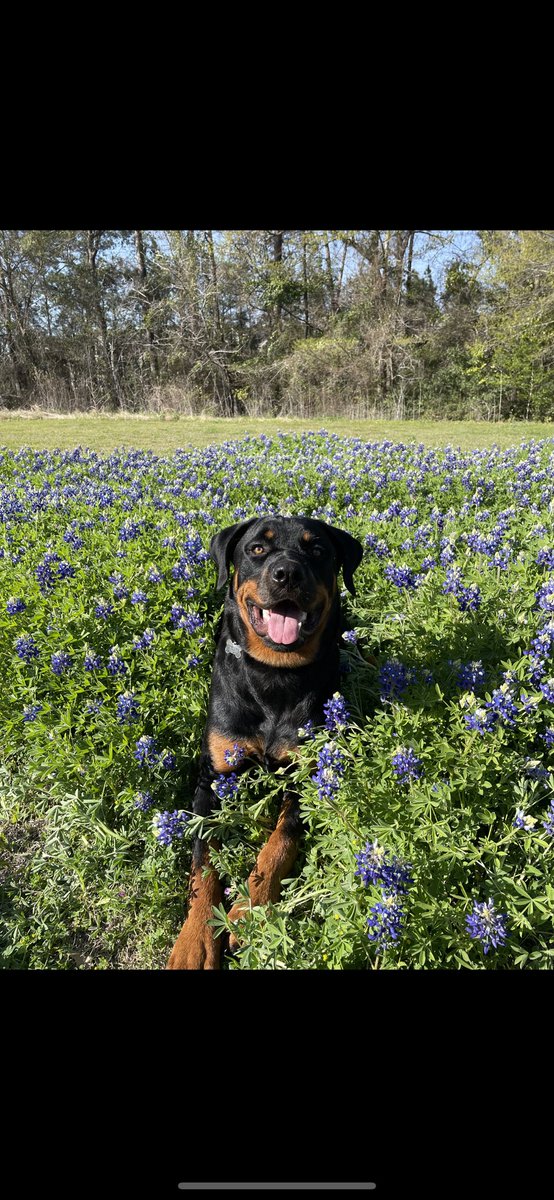 jrmeadows10's tweet photo. Just like his daddy. https://t.co/TdU9PanncK