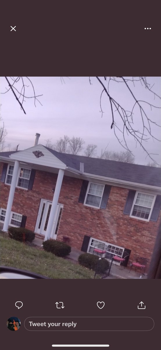 Trigger Happy🥷 tweet media