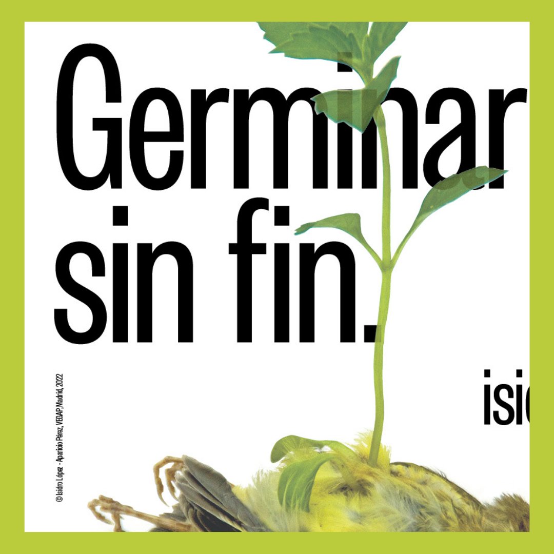 artecontexto's tweet photo. @Museo_Lazaro expone Germinar sin fin de Isidro López-Aparicio 
https://t.co/PEVSSvrouM

#MuseoLazaroGakdiano #LazaroGaldiano #IsidroLopezAparicio #artecontemporaneo #exposicionesmadrid #contemporaryart #scultura #sculpture #bronce #ball #sostenibilidad #liveanddeath #ciclodevida https://t.co/FMydT0stfj