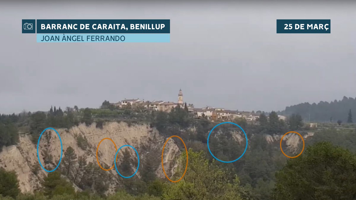 À Punt Oratge tweet media