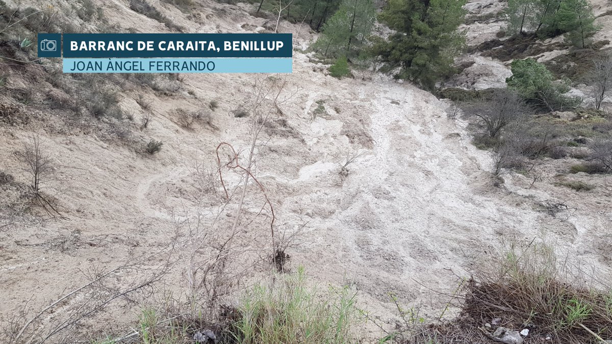 À Punt Oratge tweet media
