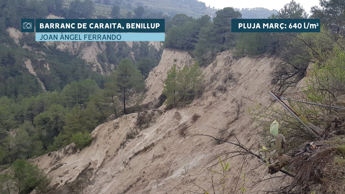 À Punt Oratge tweet media