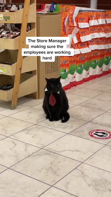 https://t.co/qReix7IxeT What a cute little business man! @APclipsCEO https://t.co/l5OLkB3wUR<a href="/tag/apclips"class="tags"><span>#apclips</span></a>
