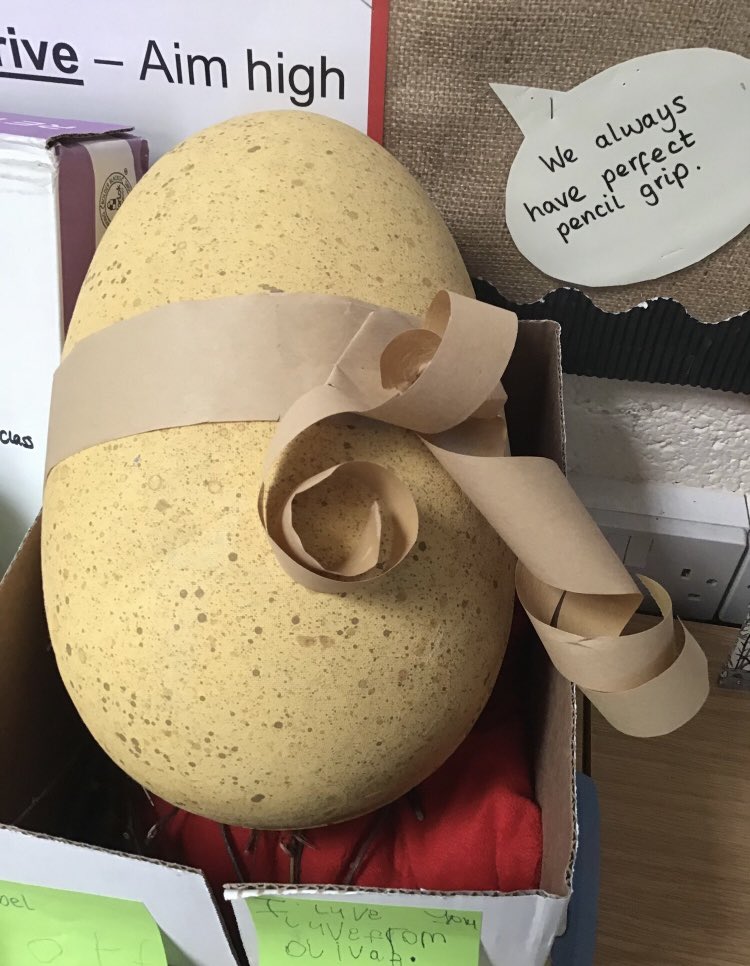 Eyfsmarshside's tweet photo. Look what was inside. Unfortunately the name had been ripped off. We had to guess who it was from. We aren’t sure if it is a dinosaur 🦖 or a flamingo 🦩 or a bunny 🐰 or even a toy 🧸 inside. https://t.co/ybATiMbU8G