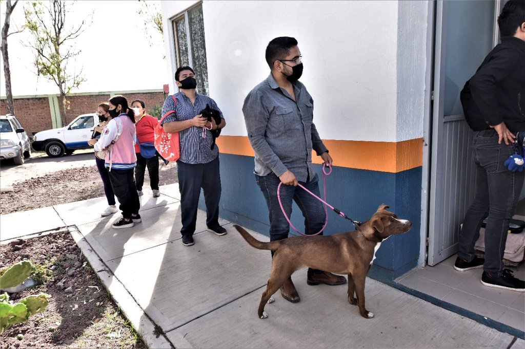 LorenaAlfaroG's tweet photo. En #Irapuato tenemos uno de los mejores quirófanos públicos de animales del estado. 

🙏🐶🐱 El #CANI hace un gran trabajo a través de sus campañas de esterilización, ¡un gusto ver tantas dueñas y dueños responsables!
#Cani https://t.co/6FYy81gCPY