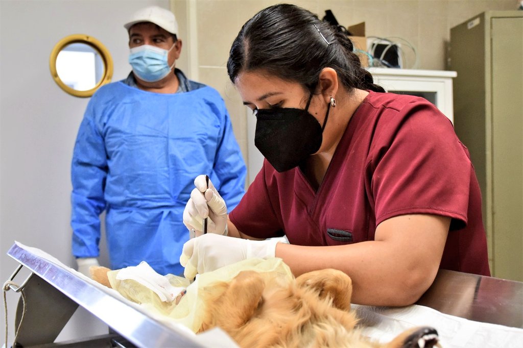 LorenaAlfaroG's tweet photo. En #Irapuato tenemos uno de los mejores quirófanos públicos de animales del estado. 

🙏🐶🐱 El #CANI hace un gran trabajo a través de sus campañas de esterilización, ¡un gusto ver tantas dueñas y dueños responsables!
#Cani https://t.co/6FYy81gCPY