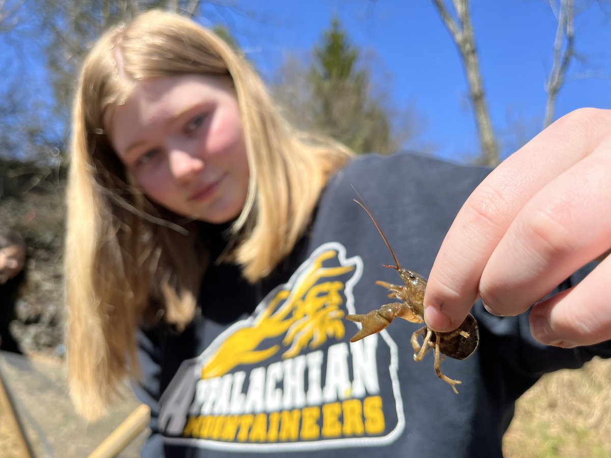 amyatkinswcs's tweet photo. Oh what fun we had today down by our tiny Hardin Creek here on HPs campus! @HardinPark_WCS #WeAreWatauga (Everyone wanted a pic with the Crayfish) https://t.co/UiRLuyHnjT