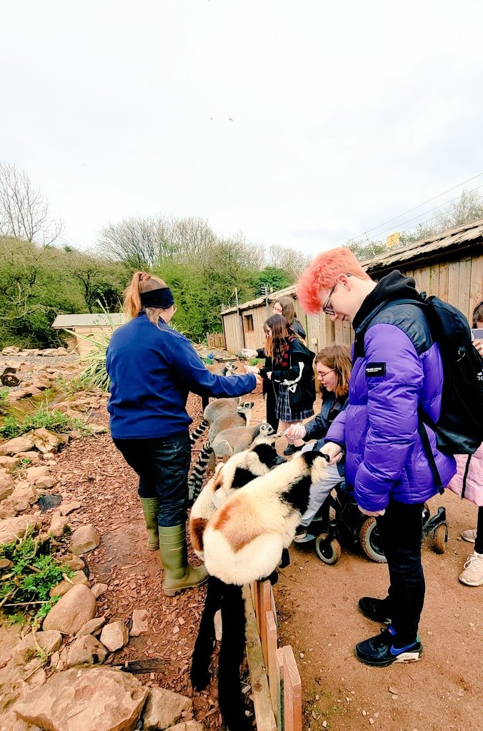 TMC Animal Care Dept tweet media