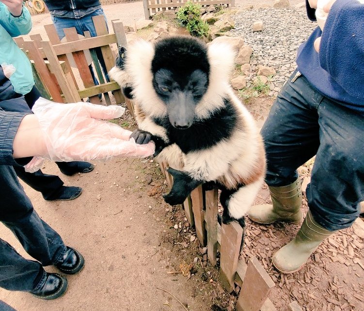 TMC Animal Care Dept tweet media