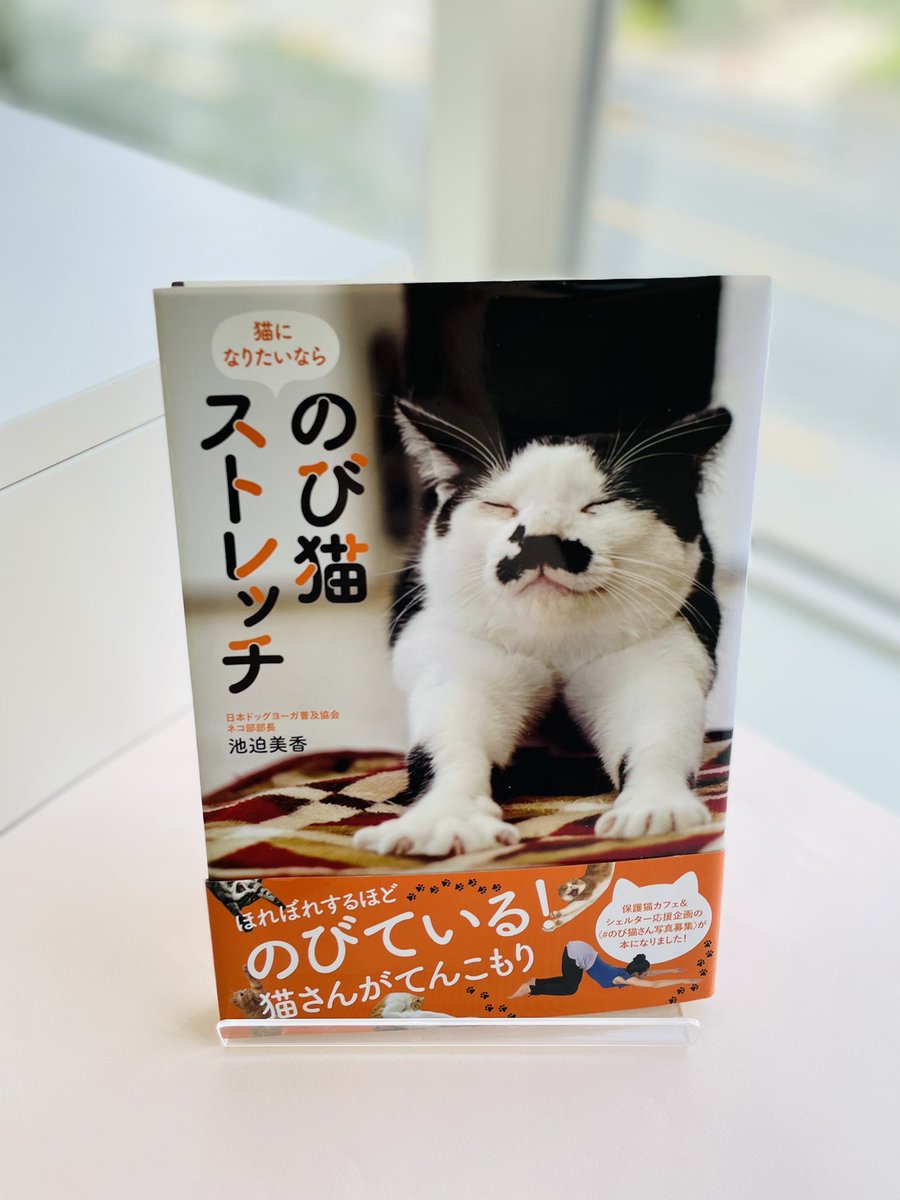 泊まれる猫カフェ クラシコ 元 猫カフェブラン Nekocafeblanc Twitter