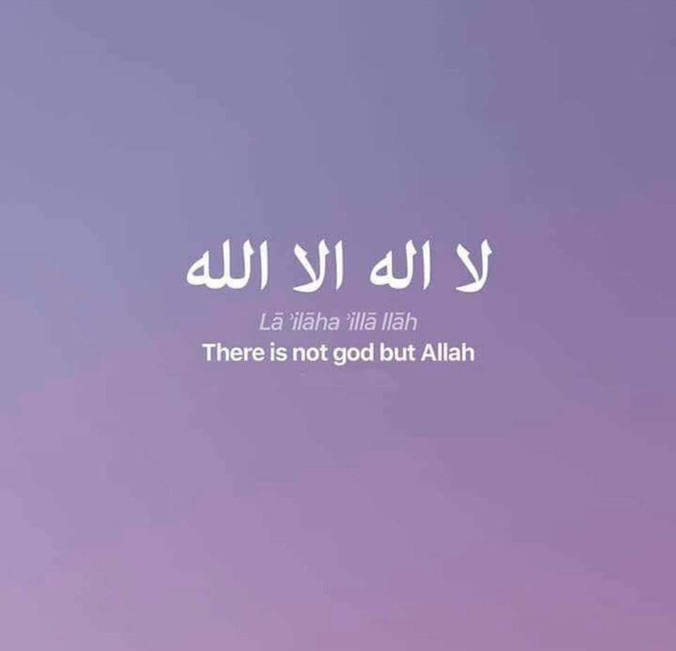 M7MD | WPaC tweet media