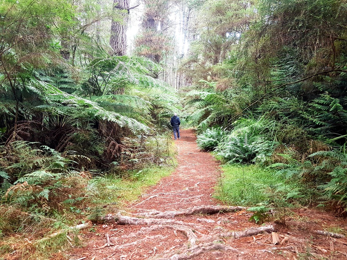 INFTA_FTGuide's tweet photo. Keep on walking, the answers will come.... https://t.co/lYbbn3FmiG